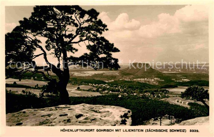 Gohrisch Lilienstein