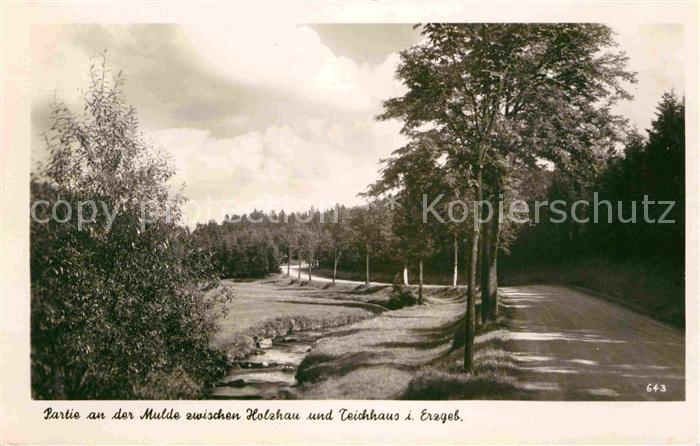 Holzhau Brand-Erbisdorf Partie an der Mulde