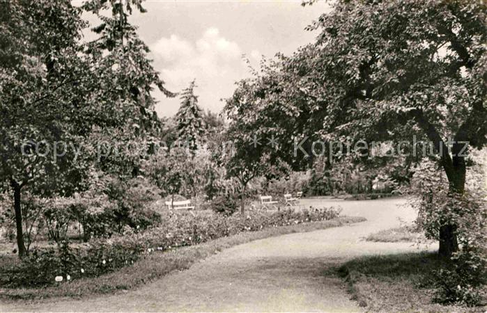 Sangerhausen Suedharz Rosarium