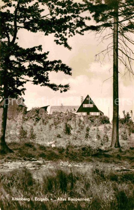 Altenberg Erzgebirge Altes Raupennest