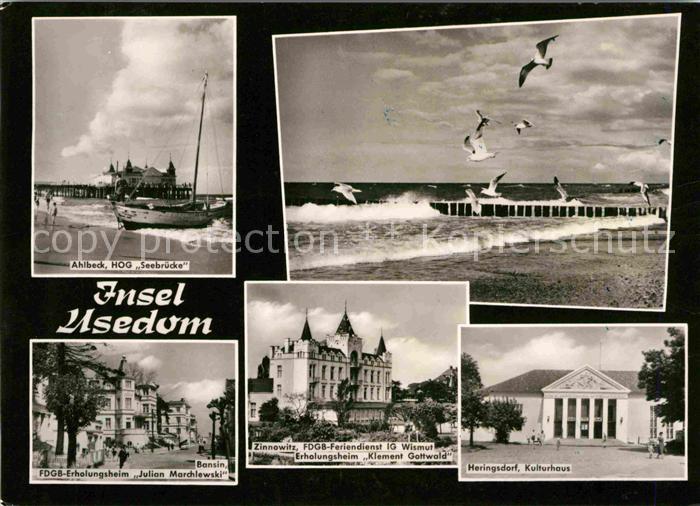 Ahlbeck Ostseebad HOG Seebruecke Heringsdorf Kulturhaus Zinnowitz Moewe