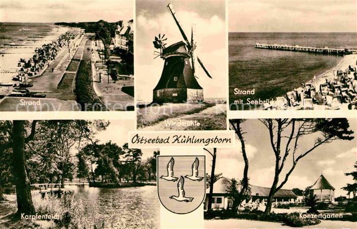 Kuehlungsborn Ostseebad Windmuehle Konzertgarten Karpfenteich
