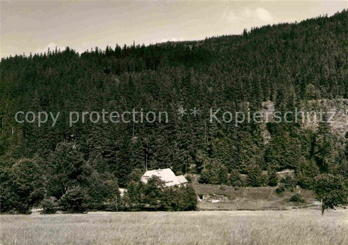 Schellerhau HOG Putzmuehle