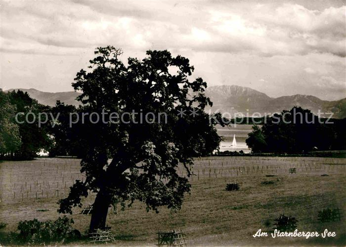 Starnbergersee