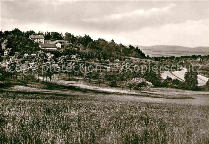 Borsberg Schoenfeld-Weissig