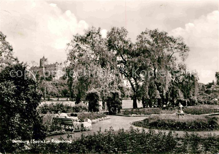 Bernburg Saale Rosenhaag