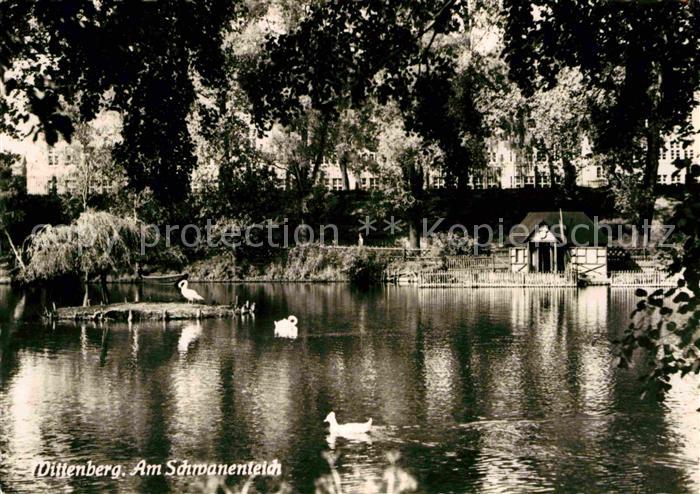 Wittenberg Lutherstadt Schwanenteich