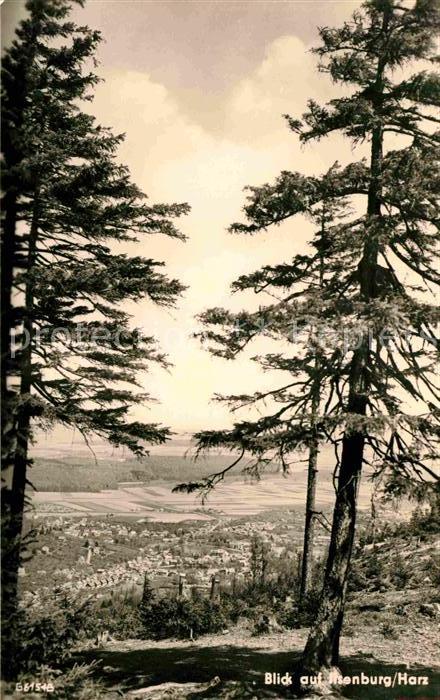 Ilsenburg Harz Panorama