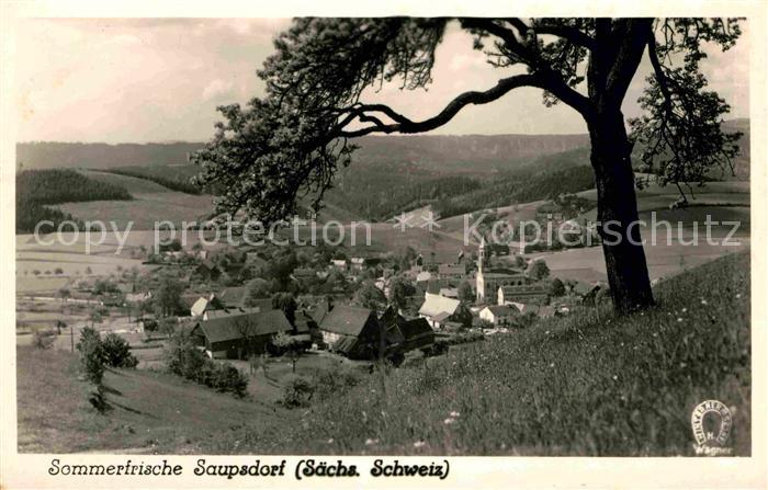 Saupsdorf Panorama