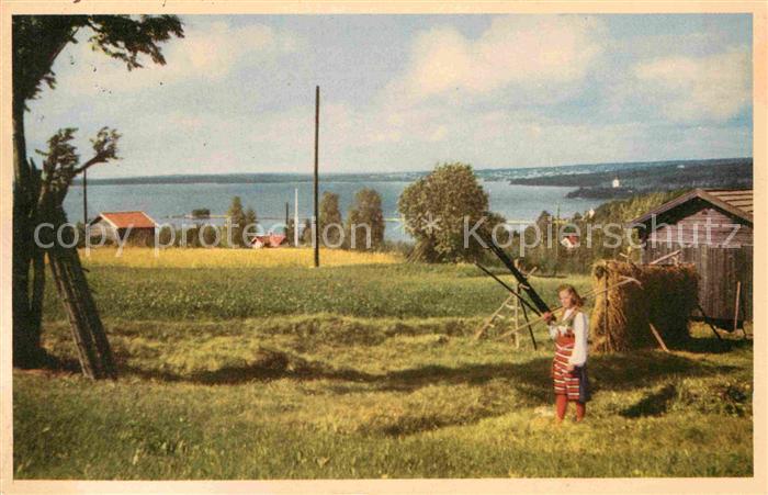 Dalarna Lerdalshoejden