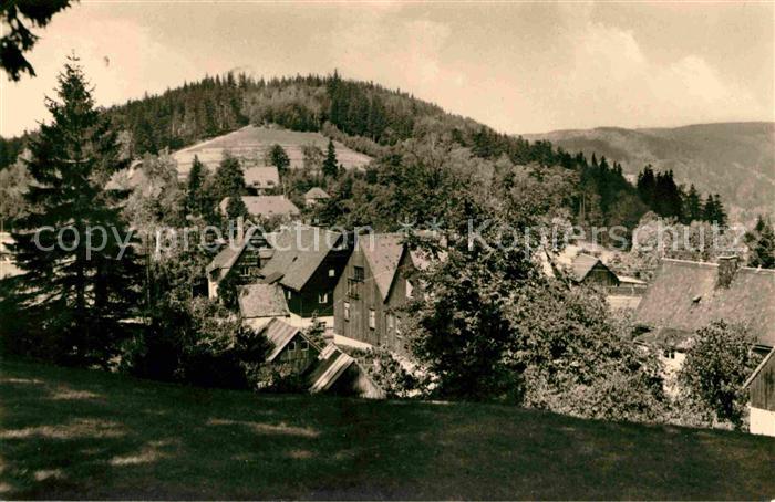 Baerenfels Erzgebirge Panorama