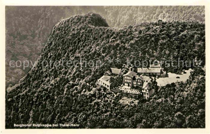 Thale Harz Berghotel Rosstrappe