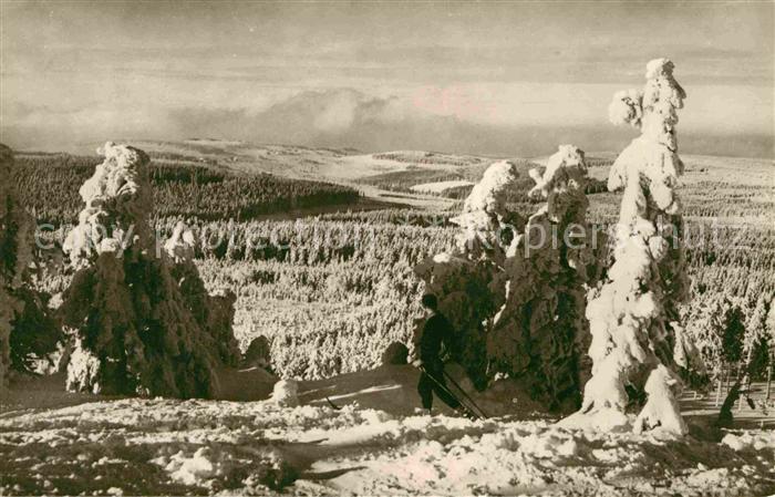 Schellerhau Langlaufloipe Winterlandschaft