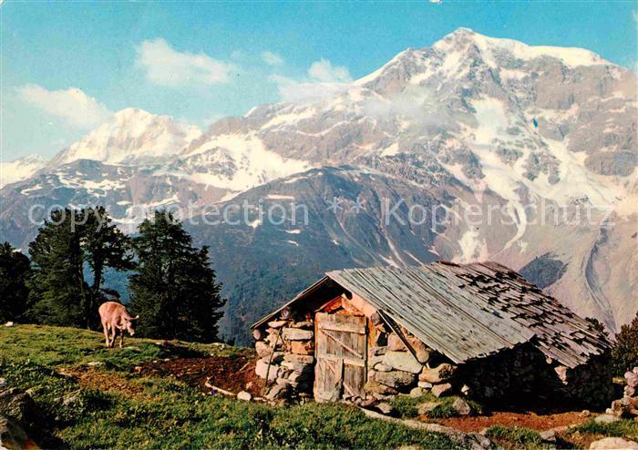 Sulden Solda Koenigspitze
