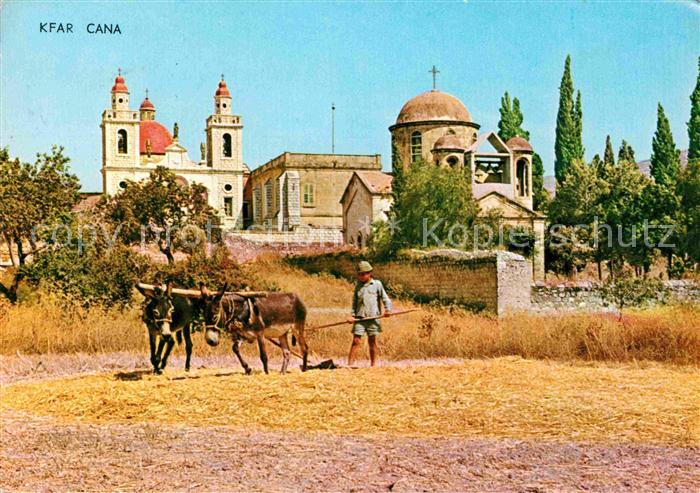 Kfar Kana Maultier Pflug Kirche