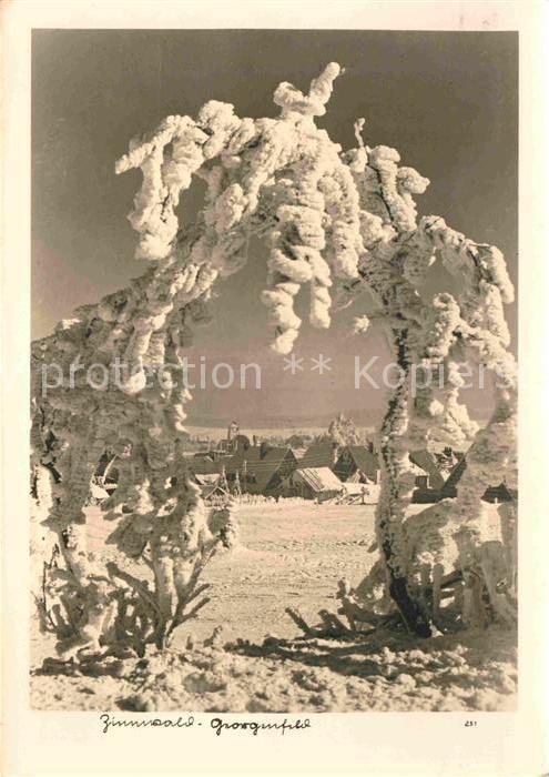 Zinnwald-Georgenfeld Winterlandschaft