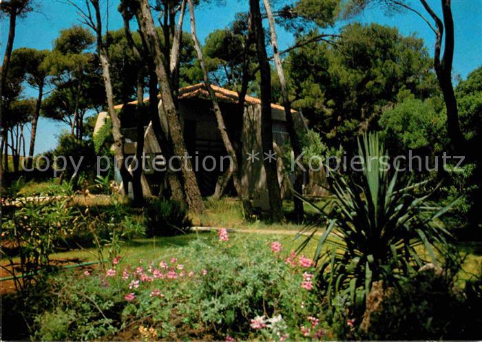 Hyeres les Palmiers Riviera Beach Club Horizonte Club