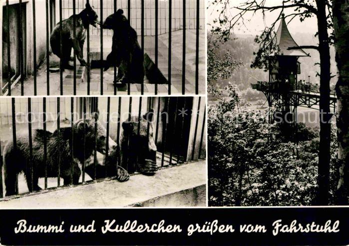 Baeren Bummi und Kullerchen Fahrstuhl Bad Schandau