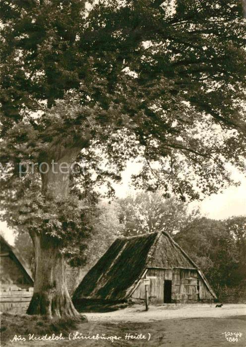 Foto Popp Nr. 1889 Undeloh Lüneburger Heide