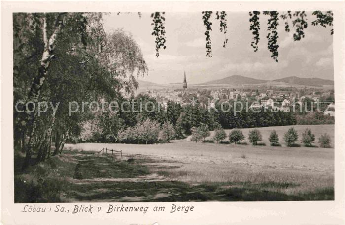 Loebau Sachsen Birkenweg am Berge