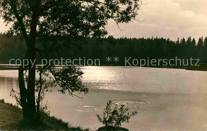Tannenbergsthal Vogtland Jaegersgruen Vogtlandsee