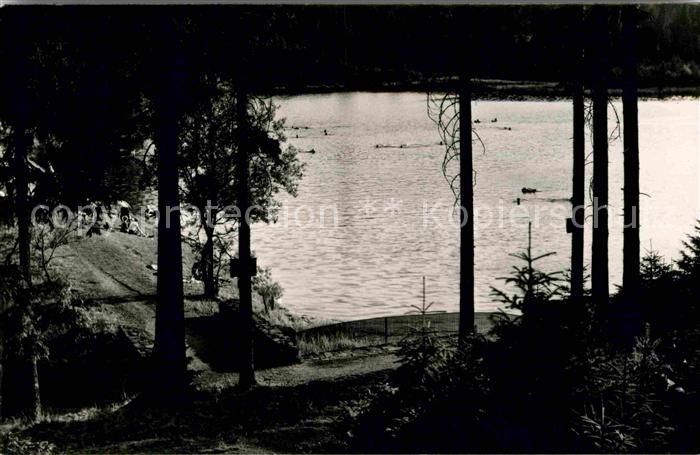 Jaegersgruen Vogtlandsee