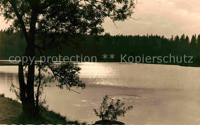 Tannenbergsthal Vogtland Vogtlandsee