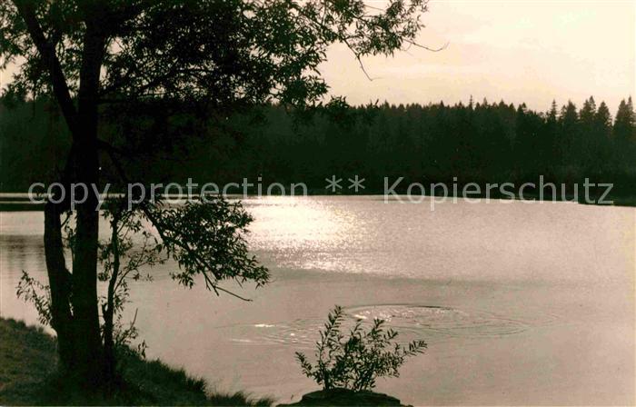 Jaegersgruen Vogtlandsee