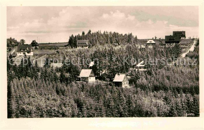 Oberbaerenburg Baerenburg Waldidylle