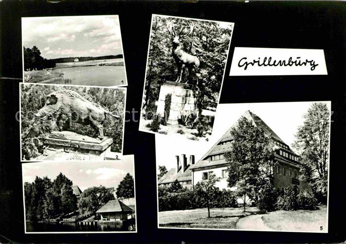 Grillenburg Wildschwein Gondelteich Hirsch Elas Fenske Kurheim