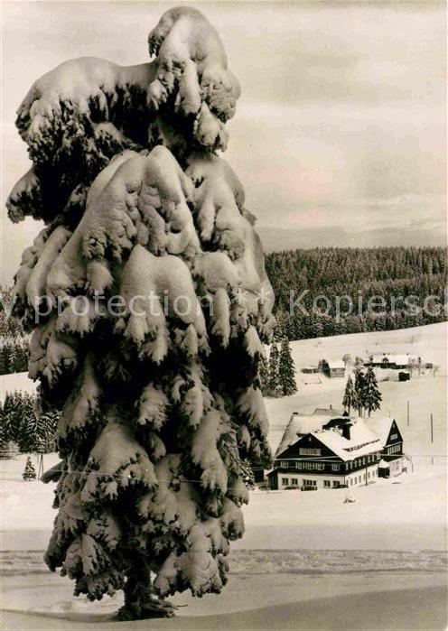 Muehlleiten Vogtland Buschhaus