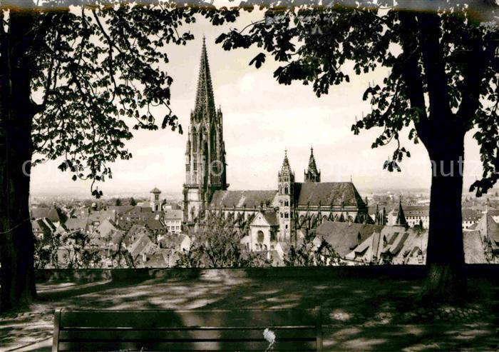 Freiburg Breisgau Muenster