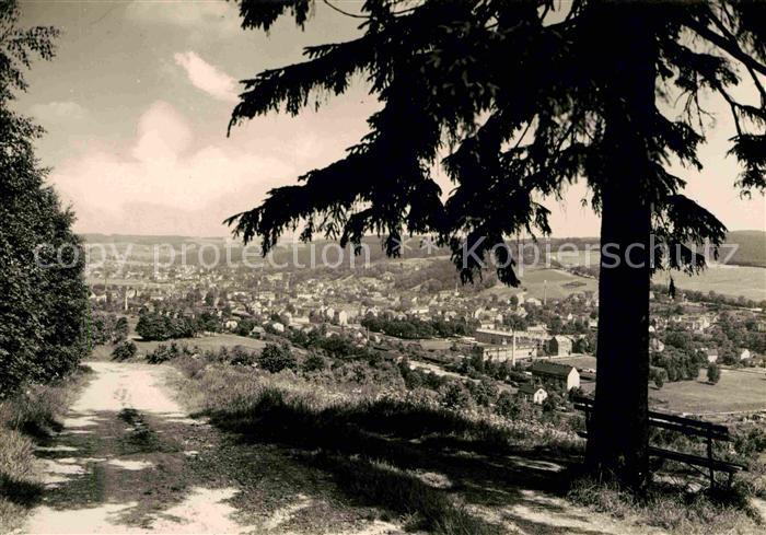 Olbernhau Erzgebirge Panorama