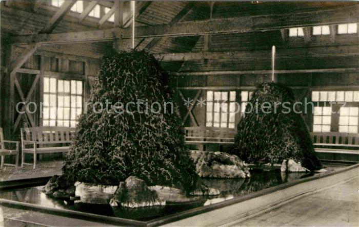 Bad Sulza Zerstaeuberhalle