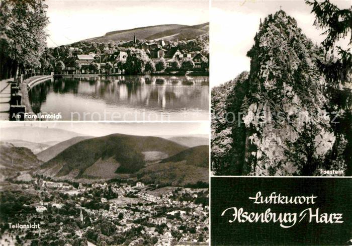 Ilsenburg Harz Ilsestein Forellenteich Fliegeraufnahme