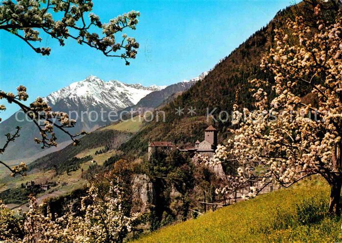 Merano Meran Castel Tirolo mit Ziel spitze