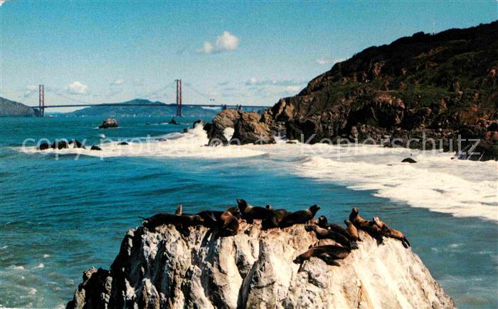 San Francisco California Seal Rocks and Golden Gate Bridge