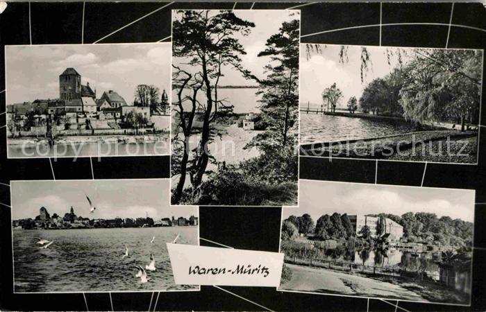 Waren Mueritz Ansicht vom See aus Uferpromenade Seevoegel Mecklenburgische Seenp