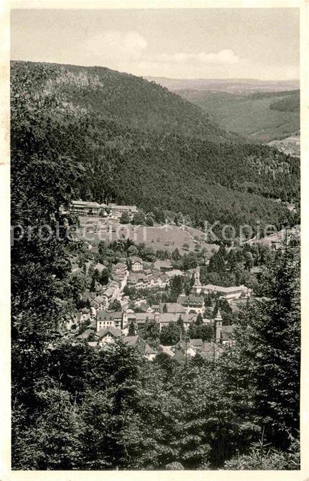 Bad Herrenalb Panorama mit Blick zur Falkenburg Schwarzwald