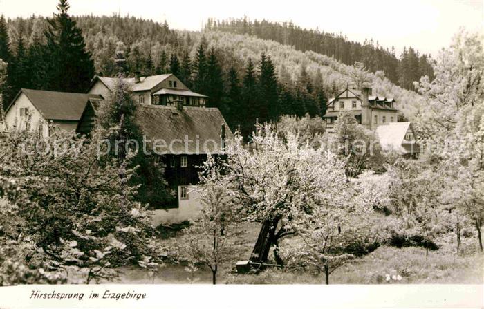 Hirschsprung Teilansicht