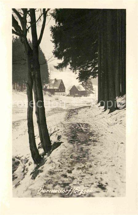 Hermsdorf Erzgebirge Partie am Waldrand im Winter