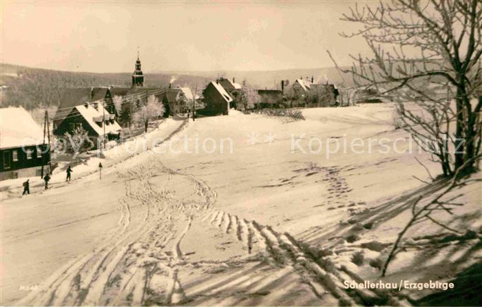 Schellerhau Winterpanorama