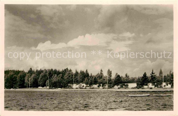 Schneeberg Erzgebirge Filzteich