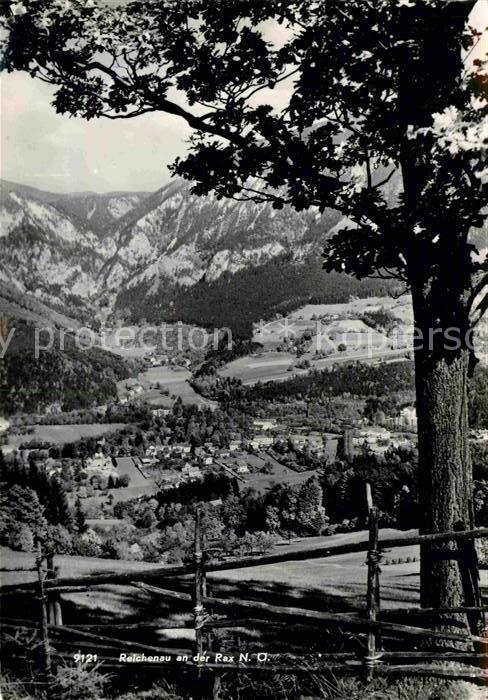 Reichenau Rax Gesamtansicht mit Alpenpanorama