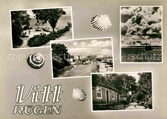 Vitt Strand Ferienhaeuser Dampfer Muscheln