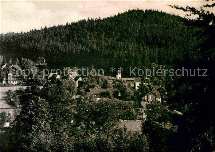 Baerenfels Erzgebirge Teilansicht mit Spitzberg Kurort