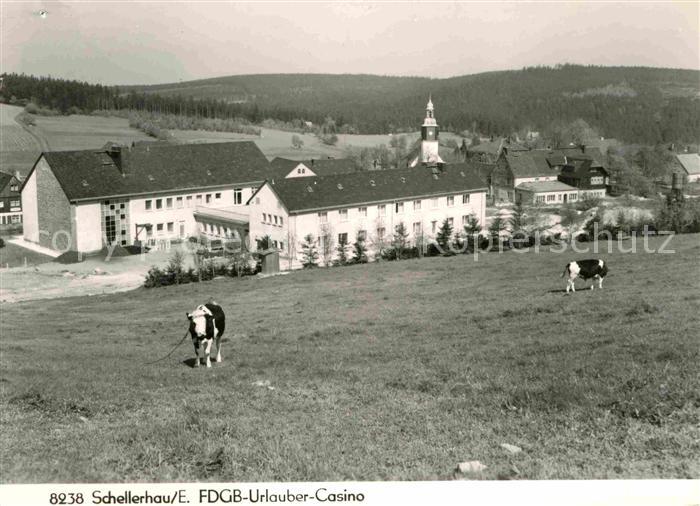 Schellerhau FDGB Urlauber Casino Kuehe