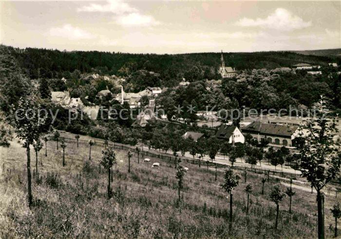 Berggiesshuebel Panorama Obstwiese Kneippkurort