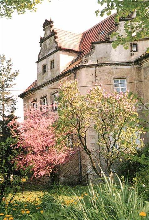 Ottendorf Bahretal Renaissance Schloss Baumbluete