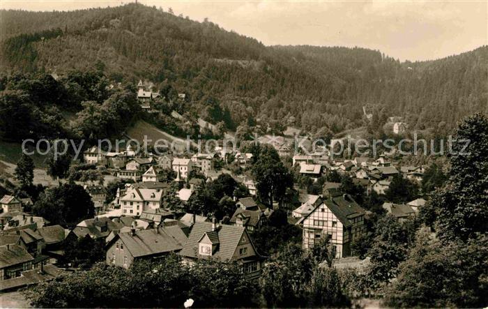 Schwarzburg Thueringer Wald Panorama